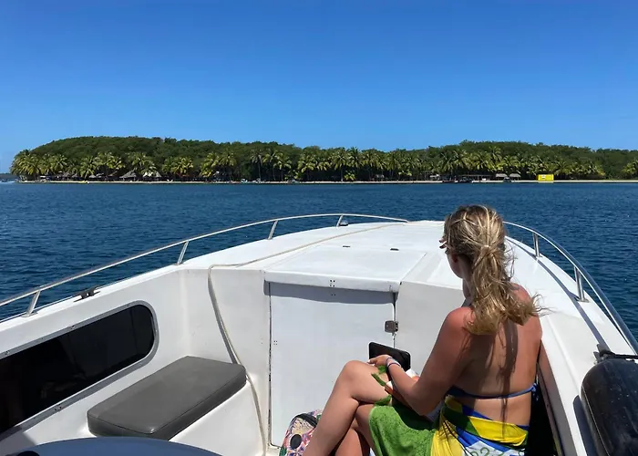 Dolphin Blue Paradise