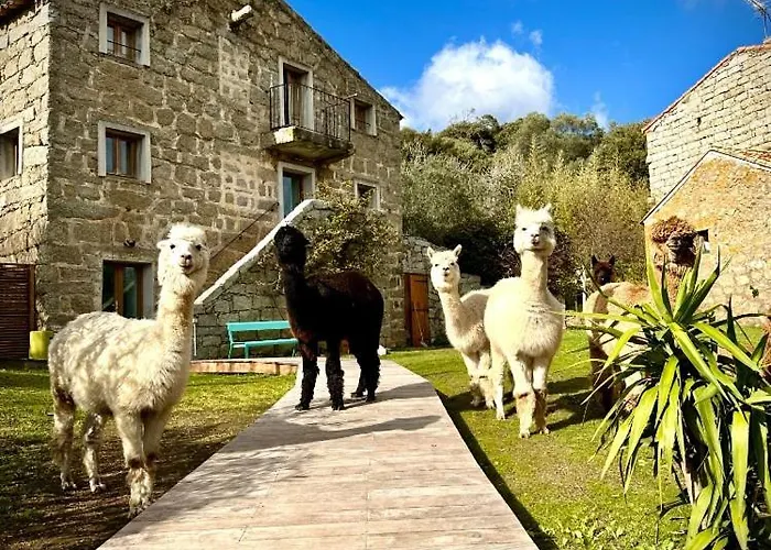 Les Bergeries de Figari