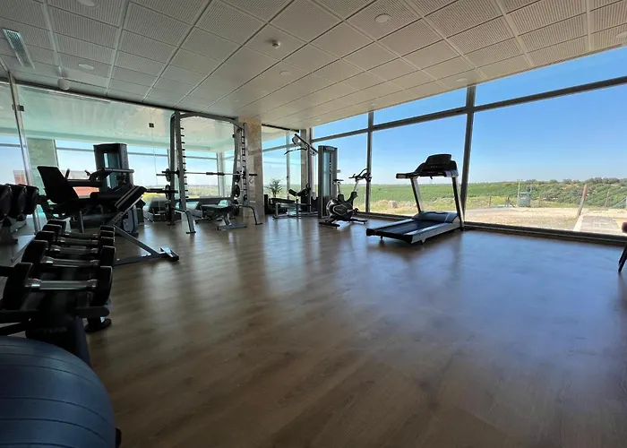 Hotel O Gato & Spa