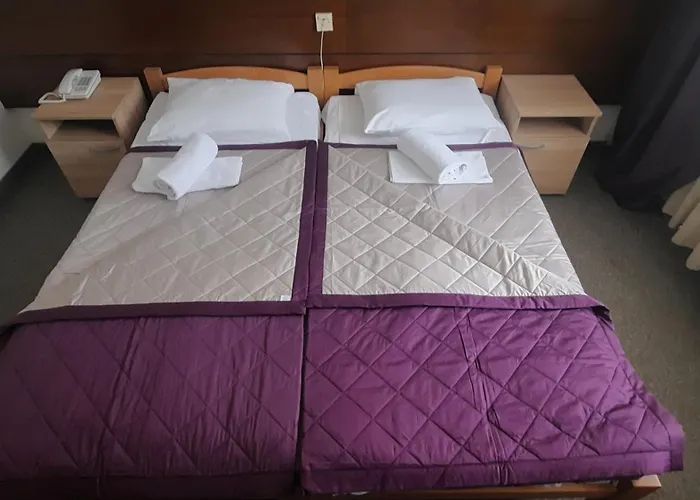 Hotel Moravica