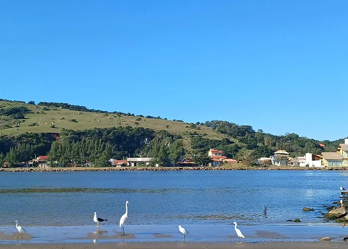 Acacia Hotel