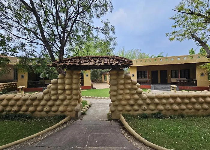 The Celebration Van Vilas