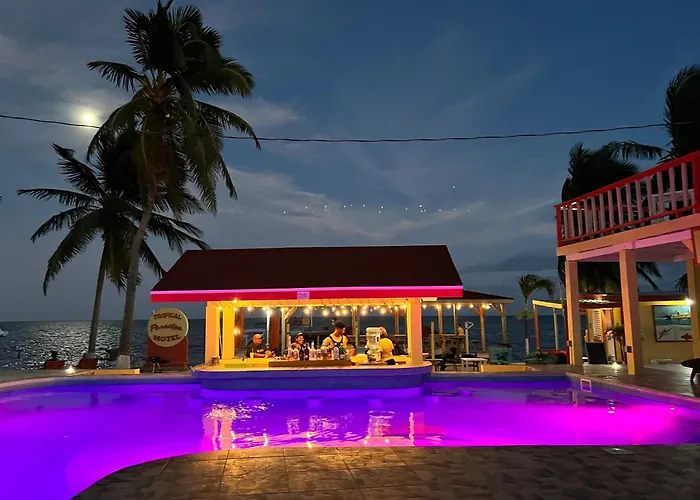 Tropical Paradise Express