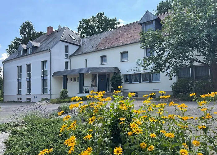 Hotel Luther Birke Wittenberg