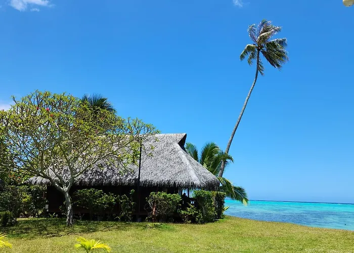 Hotel Hibiscus