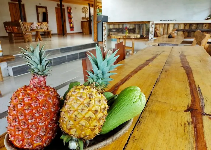 Tierra Activa Alojamiento Eco Rural Finca Organica Y Agroturistica