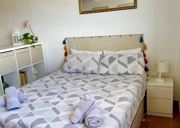 The Summer Treat Shared Apartment Compartido