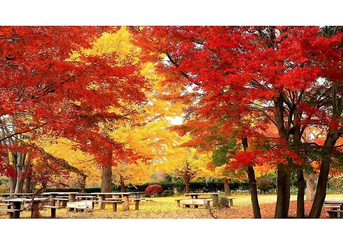 Hotel Tenryukaku - Vacation Stay 16415V
