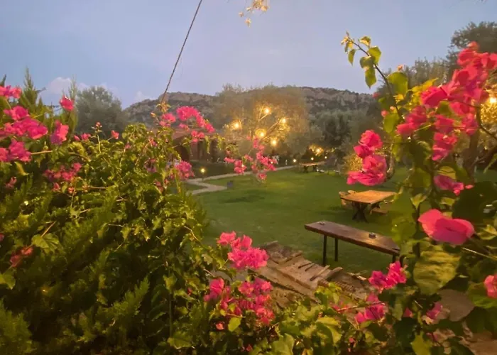 Suzi'nin Bahçesi Bungalov Evler