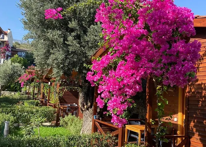 Suzi'nin Bahçesi Bungalov Evler