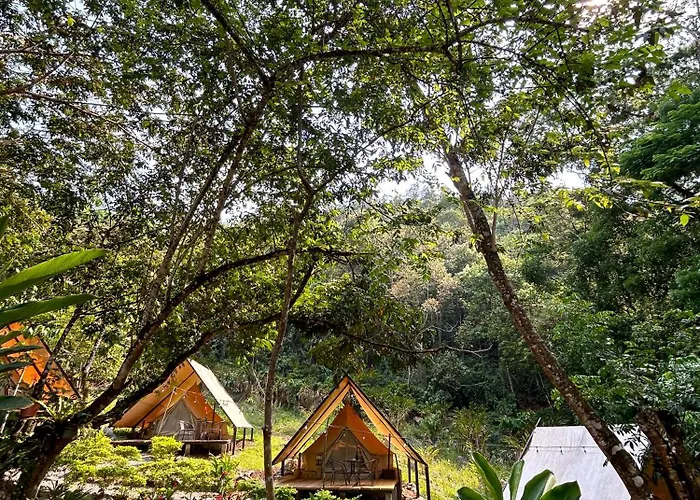 Guayaha