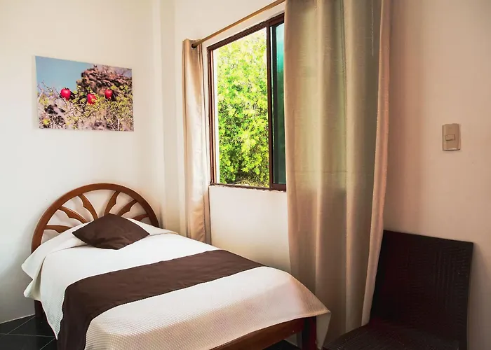 Hotel La Jungla