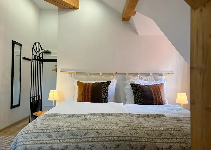 Boutique Hotel Barvirna