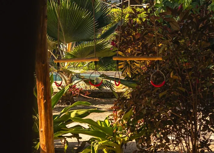 The Garden