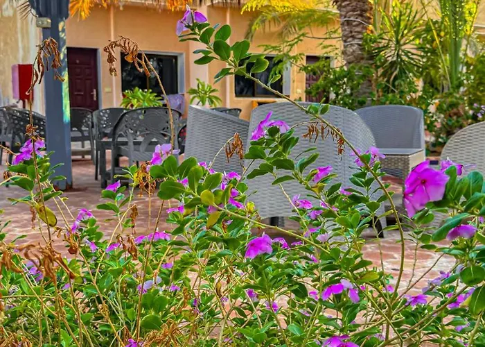 Miramar Camp Dahab