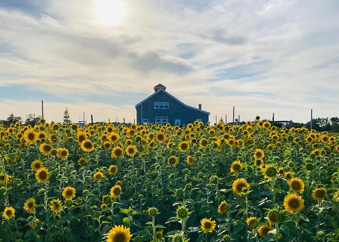 Fossil Farms Oceanside Retreat