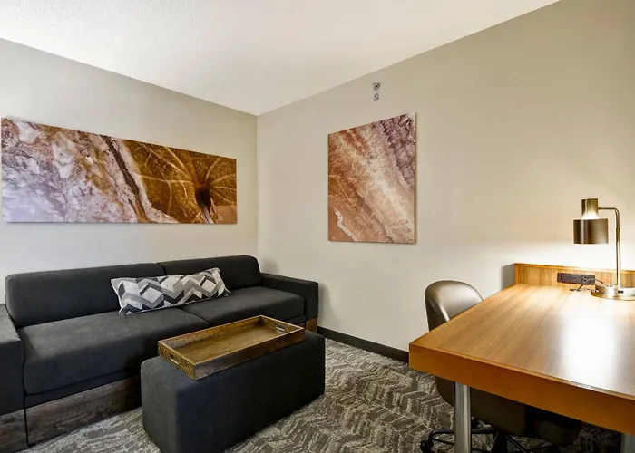 Springhill Suites By Marriott Lexington Near The University Of Kentucky