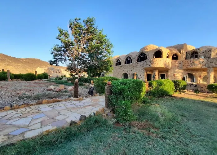 Oasis Panorama