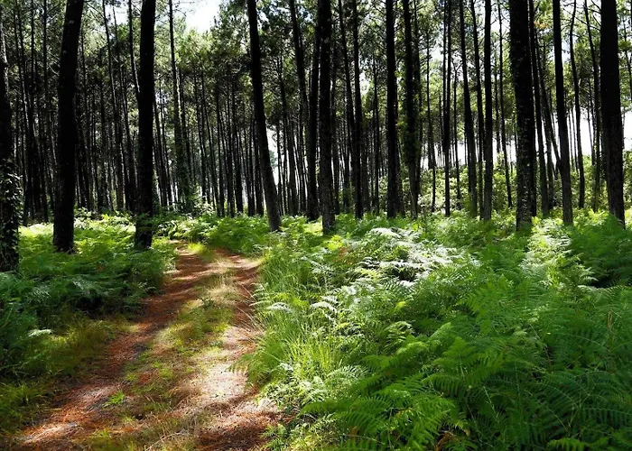 Au P'tit Creux des Landes