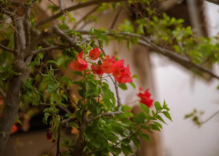 Thái Bình Cam Ranh 2 Hotel