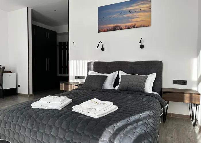 Mayster Home