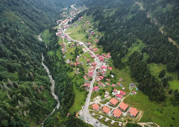 Ayder Altiparmak Suit
