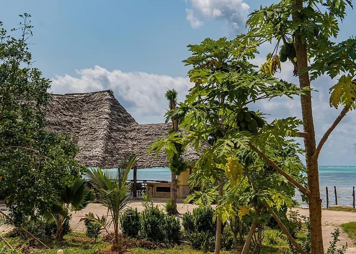 Jaribu Beach Hotel