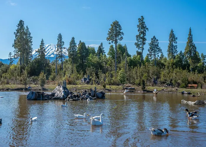Parque La Pajarera