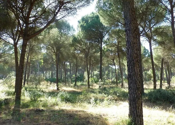 La Suite de la Reina