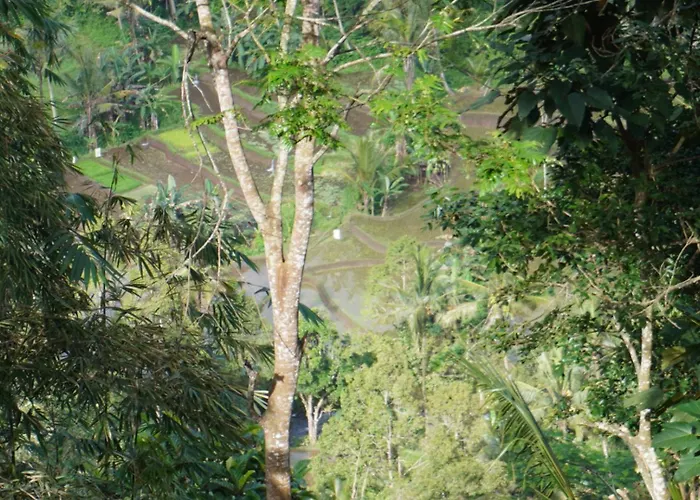 Purwa Ijen