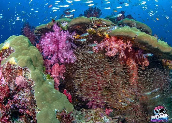 Khaolak Dive Resort