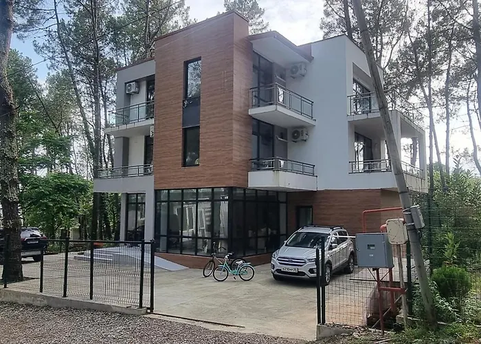 Kartuli Suli