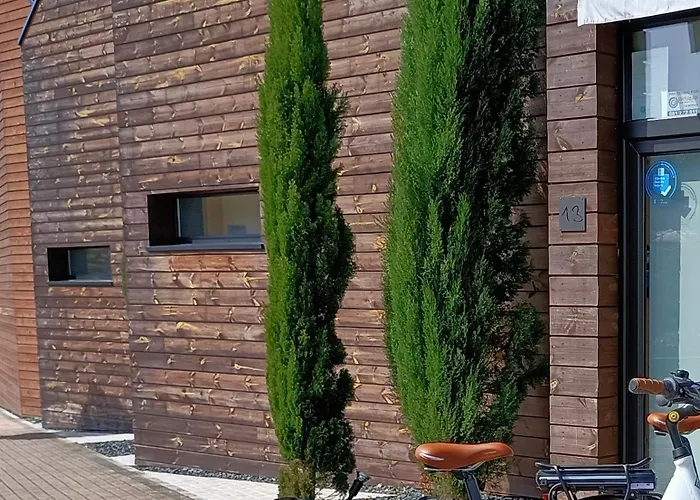 Cabañas de Canide