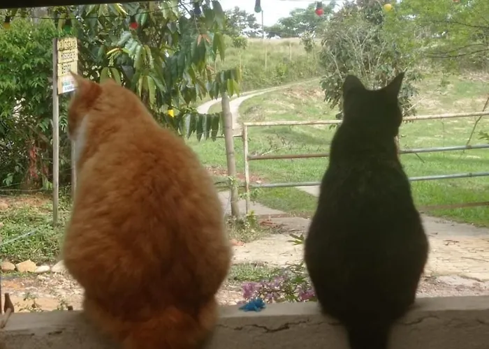 Hospedaje Naturaleza Viva