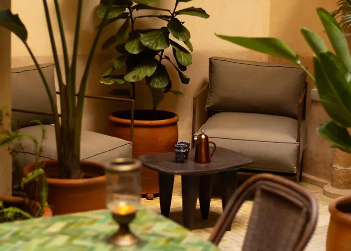 Maison 250 - Adult Only