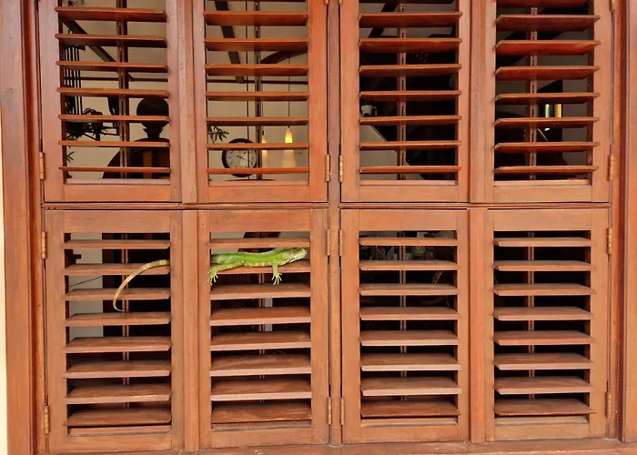 Greenheart Boutique Hotel