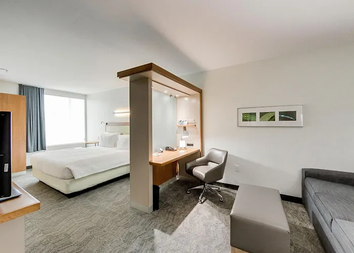 Springhill Suites By Marriott Houston The Woodlands