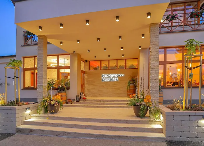 Hotel Kamelia