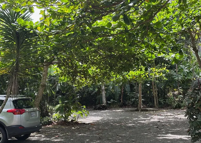 Hotel Suizo Loco Lodge&Resort