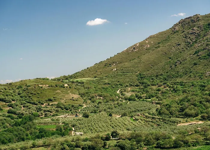 Domaine Acciola