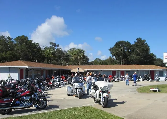 Scoot Inn