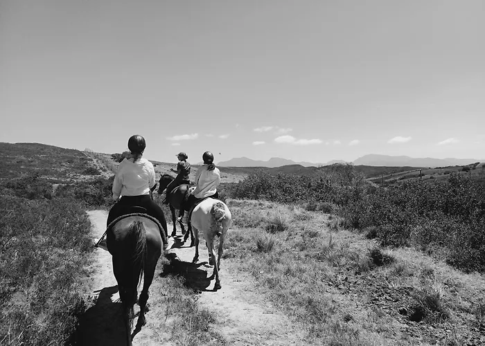 Garden Route Safari Camp