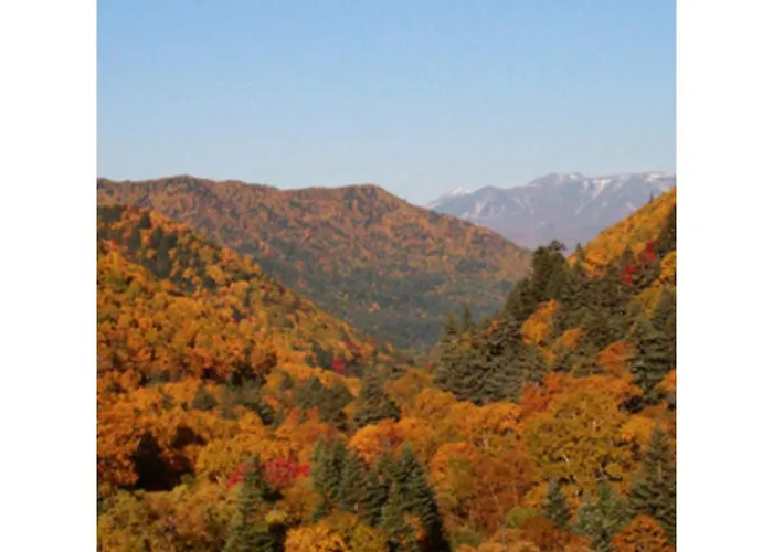 Mount View Hotel - Vacation Stay 40105V