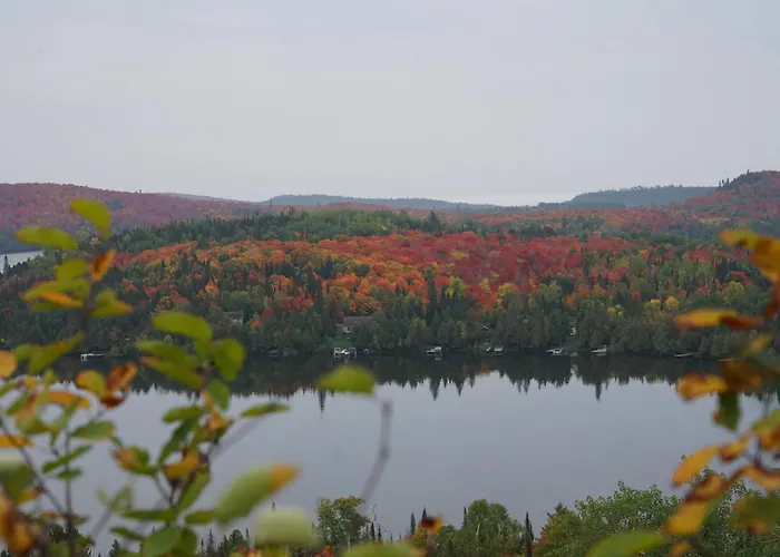 Tofte Trails