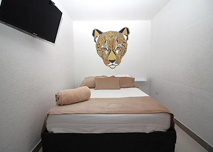 DAM Hotel Pereira