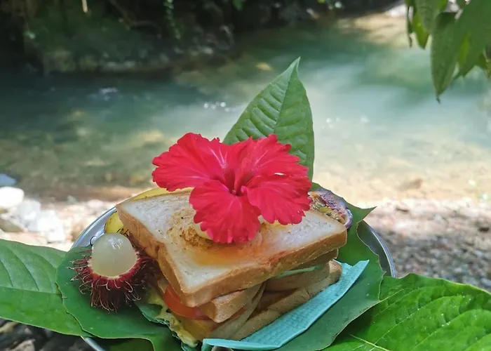 Leuser Inn