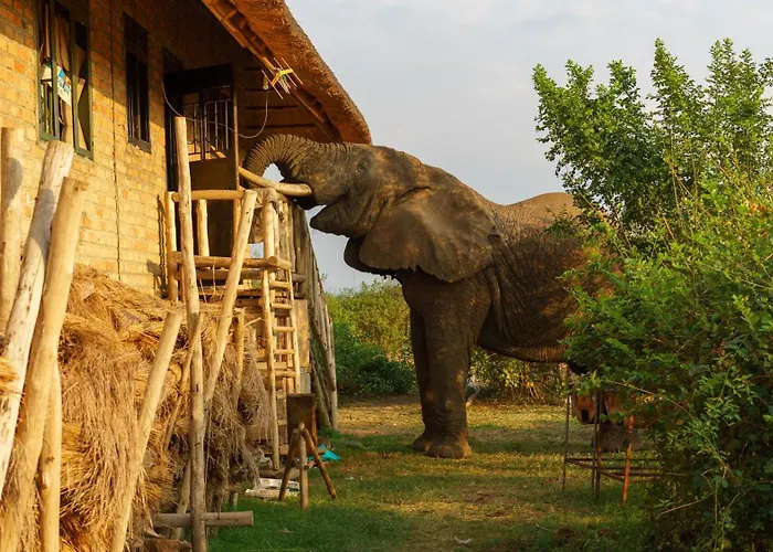 Tabingi Safari Cottages