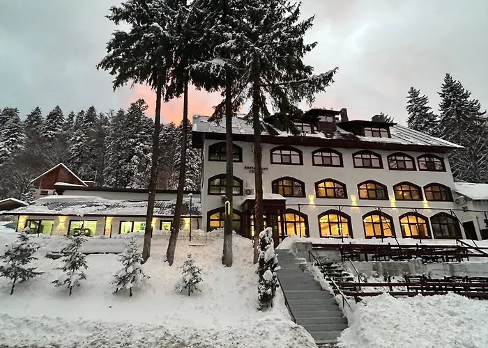 Cerbul Chalet Accommodation & Wellness