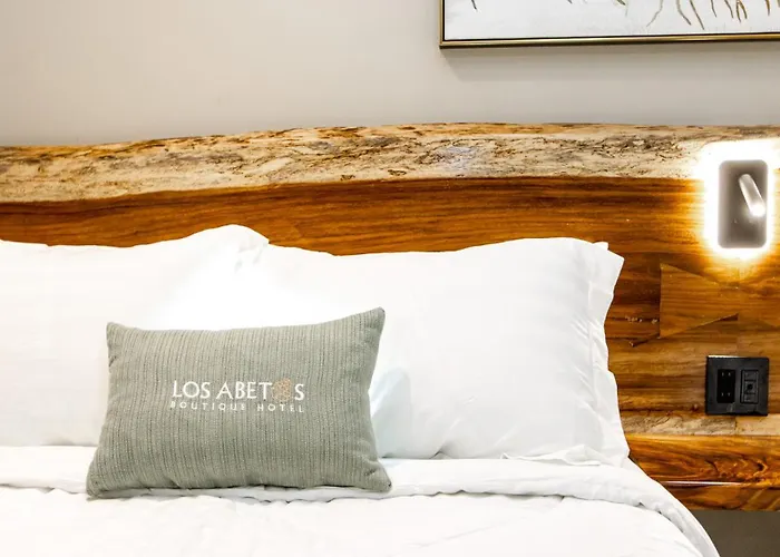 Hotel Boutique Los Abetos