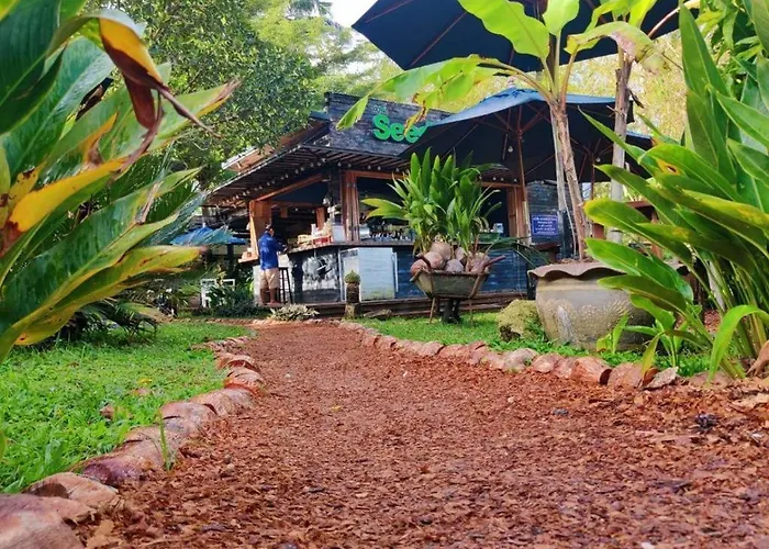 The Willow Phangan